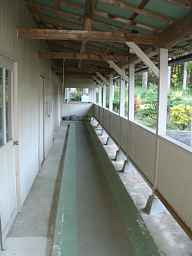 神田小学校・渡り廊下内側、木造校舎・廃校、愛知県