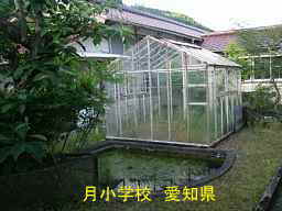 月小学校・中庭、愛知県の木造校舎・廃校
