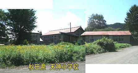 天神小学校、秋田県の木造校舎