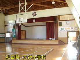 天神小学校・体育館内、秋田県の木造校舎