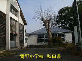 鶯野小学校・体育館2、秋田県の木造校舎・廃校