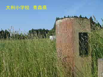 大利小学校、青森県の木造校舎・廃校、更地になつてた