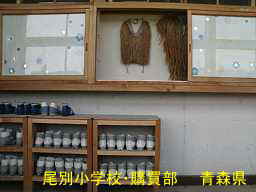 尾別小学校、青森県の廃校・木造校舎