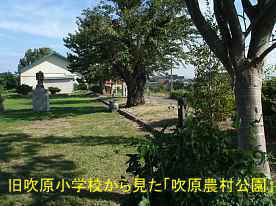 旧吹原小学校・桜並木、青森県の木造校舎