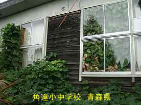 角違小中学校・ガラス窓内面の葛、青森県の廃校