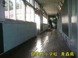 田茂代小学校・廊下、青森県の廃校・木造校舎