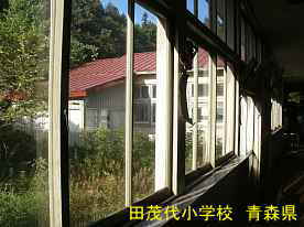 田茂代小学校・窓より外風景、青森県の廃校・木造校舎