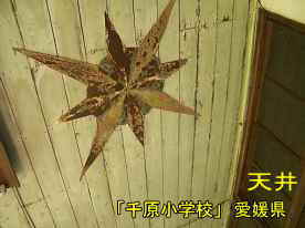 千原小学校・天井のコンパス模様、愛媛県の木造校舎