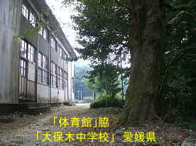大保木中学校・体育館脇、愛媛県の木造校舎