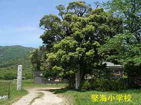 正門付近より、堅海小学校・福井県の木造校舎・廃校