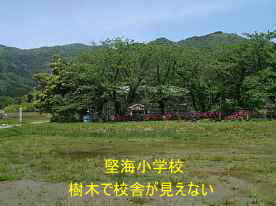 堅海小学校・福井県の木造校舎・廃校、樹木に遮られている