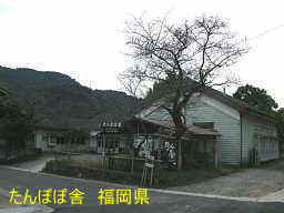 たんぽぽ舎、福岡県の木造校舎