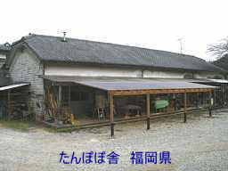 たんぽぽ舎、福岡県の木造校舎