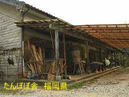 たんぽぽ舎、福岡県の木造校舎