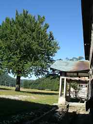 喰丸小学校・玄関とイチョウ、福島県の木造校舎・廃校