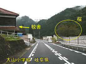 大山小学校・桜と校舎、岐阜県の木造校舎