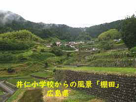 井仁小学校、広島県