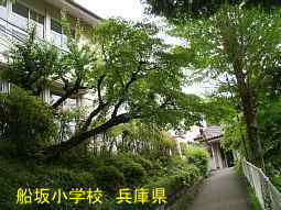 船坂小学校　兵庫県