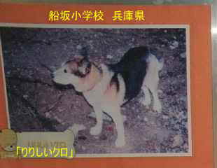 船坂小学校　クロ　兵庫県