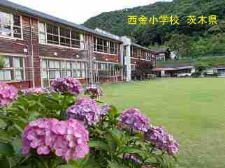 西金小学校・茨城県