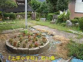 「上平小学校」花壇、石川県の木造校舎・廃校