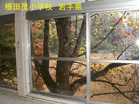 根田茂小学校・窓からの錦秋、岩手県の木造校舎・廃校