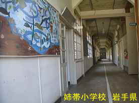 姉帯小学校・廊下、岩手県の木造校舎・廃校