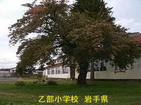 乙部小学校3、岩手県の廃校・木造校舎