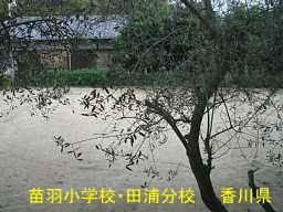 苗羽小学校・田浦分校（二十四の瞳・分教場跡）／香川県の木造校舎