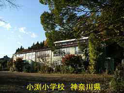 小渕小学校／神奈川県の木造校舎・廃校