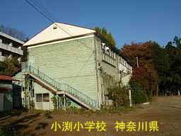 小渕小学校／神奈川県の木造校舎・廃校