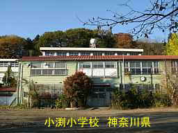 小渕小学校／神奈川県の木造校舎・廃校
