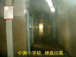 小渕小学校／神奈川県の木造校舎・廃校