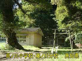 貝ノ川小学校藤ノ川分校・神社と大木、高知県の木造校舎