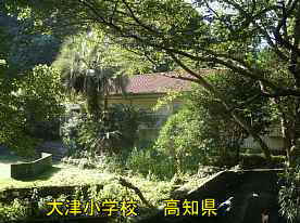 大津小学校の樹木、高知県の木造校舎