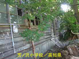 芳ノ沢小学校・窓、高知県の木造校舎