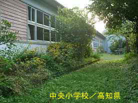 中央小学校・校舎2、高知県の木造校舎