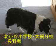 北小谷小学校・大網分校／長野県の木造校舎・廃校