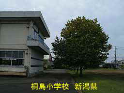 「桐島小学校」新潟県の廃校