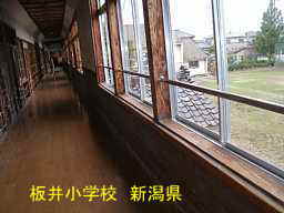 板井小学校、新潟県の廃校・木造校舎