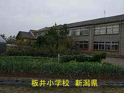 板井小学校、新潟県の廃校・木造校舎
