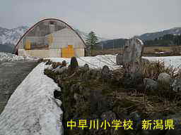 中早川小学校、新潟県の廃校