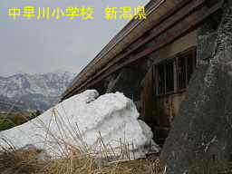 中早川小学校、新潟県の廃校