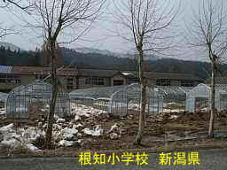 根知小学校、新潟県の廃校