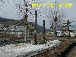 根知小学校、新潟県の廃校