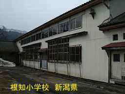 根知小学校、新潟県の廃校