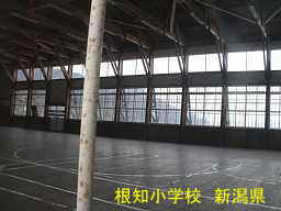 根知小学校、新潟県の廃校