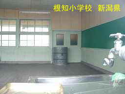 根知小学校、新潟県の廃校