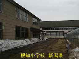 根知小学校、新潟県の廃校