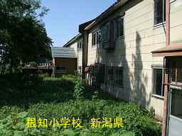 根知小学校、新潟県の廃校